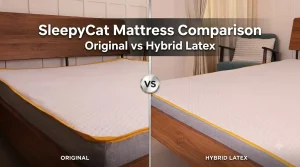 SleepyCat Mattress Original vs Hybrid Latex mattress comparison showing both mattresses side by side